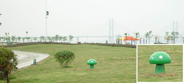 54.jpg